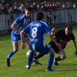 fk napredak cestereg 1