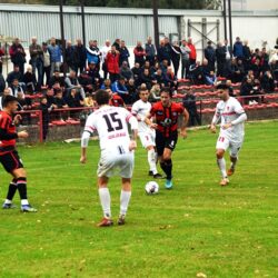 fk radnicki zrenjanin fk boras sajkas