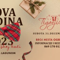 tiganjica doček nove godine