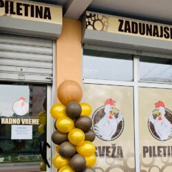 zadunajski piletina e1669898048700