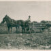 Foto: Narodni muzej Zrenjanin / Prevoz kukuruza u dugackim kolima - okolina ZR - 1935