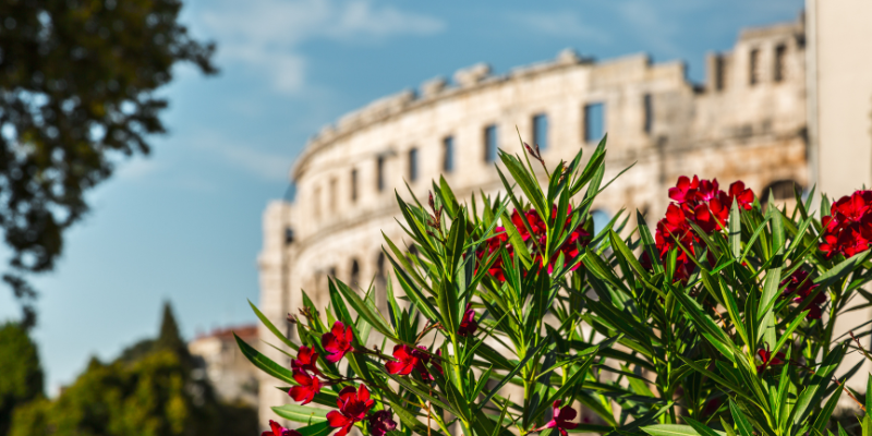 Pula
