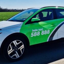 halo taxi naslovna posao