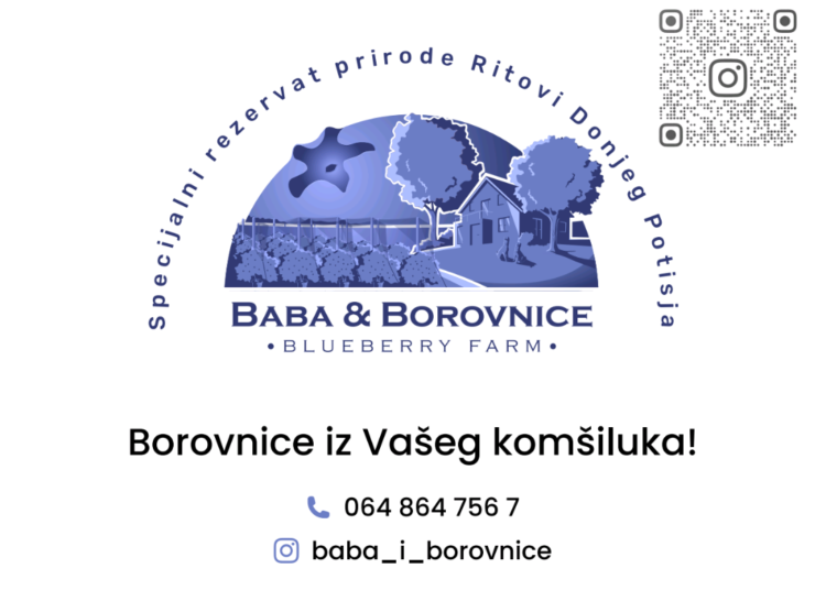 baba i borovnice logo