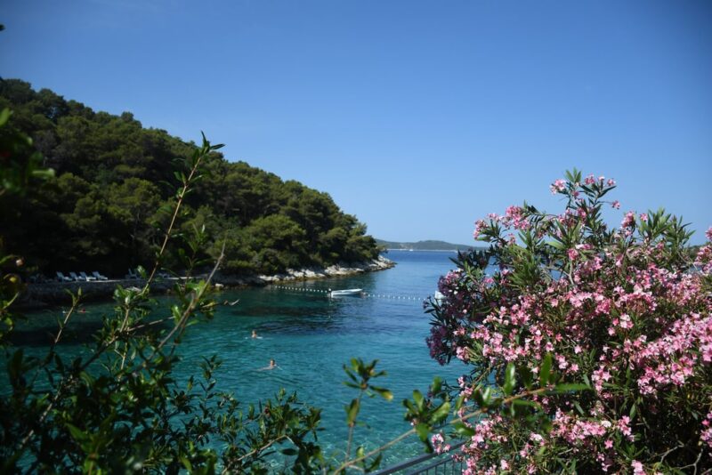 hvar sirena turisticka agencija relax zr