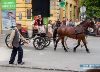 LORDAN ZAFRANOVIC 021