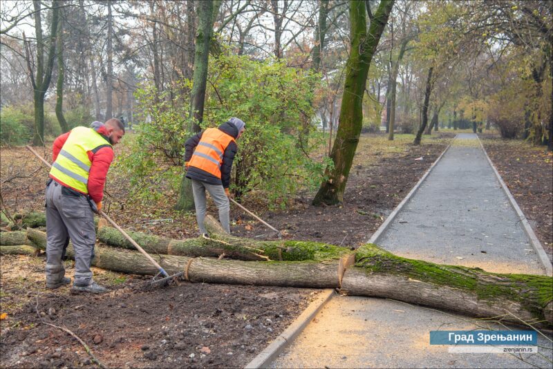 KARADJORDJEV PARK RADOVI OBILAZAK 007 1