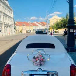 limuzine zrenjanin-2