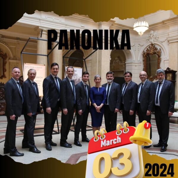 vinyl bassic panonika
