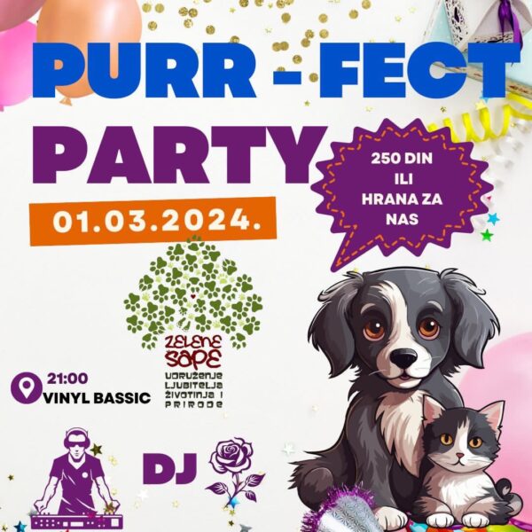 vinyl bassic puur party