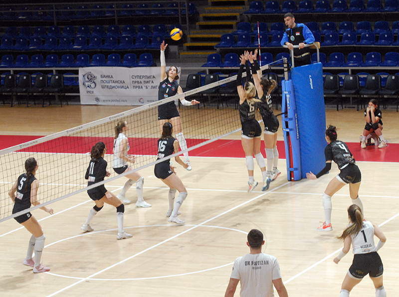 zok klek partizan ema grubanov