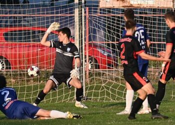 fk radnicki podunavac 1 2 e1727001100663