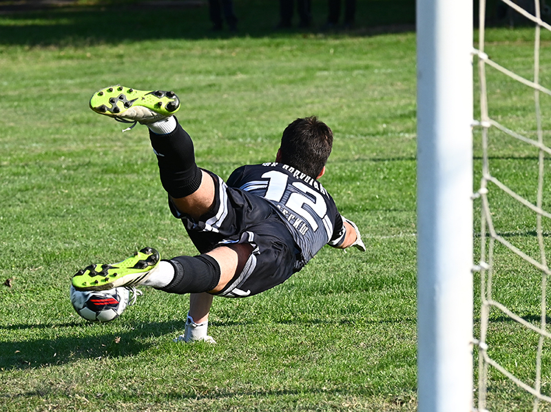 fk radnicki podunavac 8