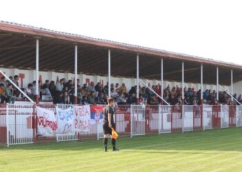 fk vojvodina basaid e1730141573736