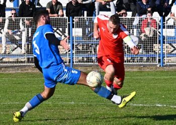 ofk gradnulica vojvodina basaid 10 e1731425528356