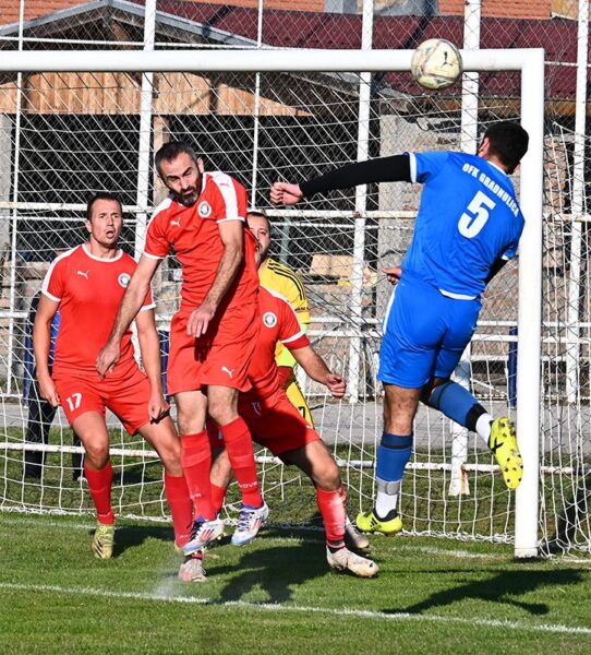 ofk gradnulica vojvodina basaid 11