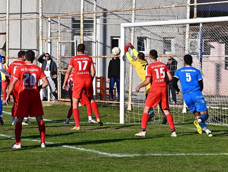 ofk gradnulica vojvodina basaid 12