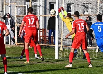 ofk gradnulica vojvodina basaid 12 e1729444469304