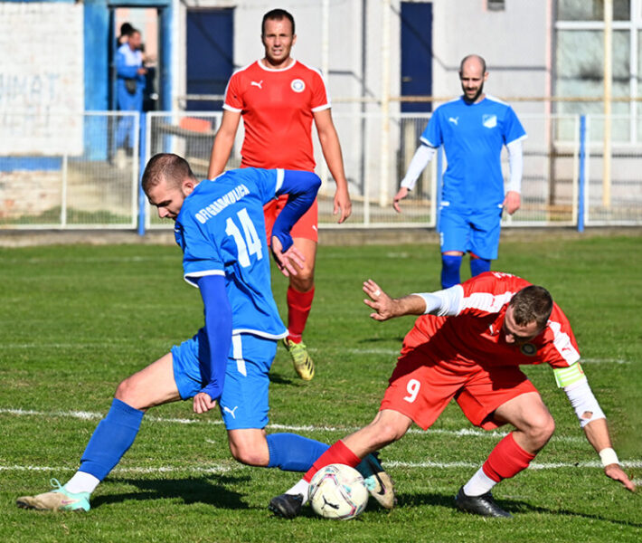 ofk gradnulica vojvodina basaid 5