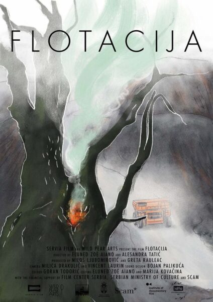 Flotacija poster