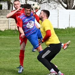 zfk banat cz 8