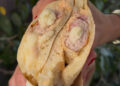 punjena vesalica