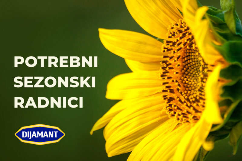 Dijamant potrebni sezonski radnici v1