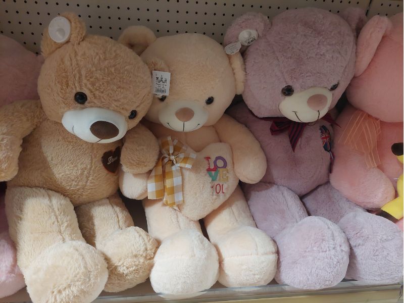 Robna kuca Shopping Family 12