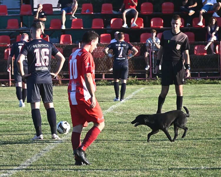 fk borac zr potisje 01