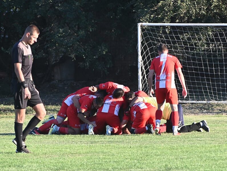 fk borac zrenjanin