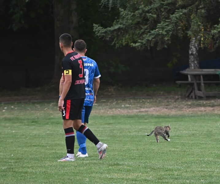 fk radnicki borac starcevo 4