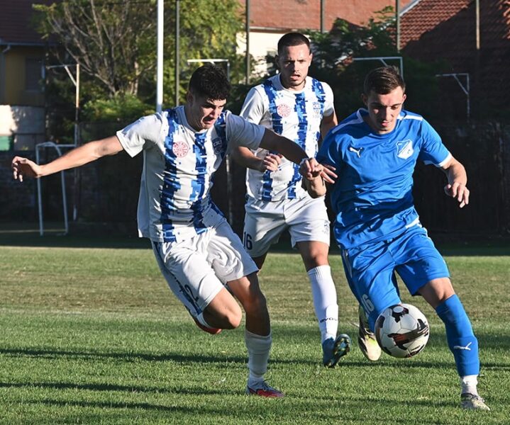 ofk gradnulica borac starcevo 14